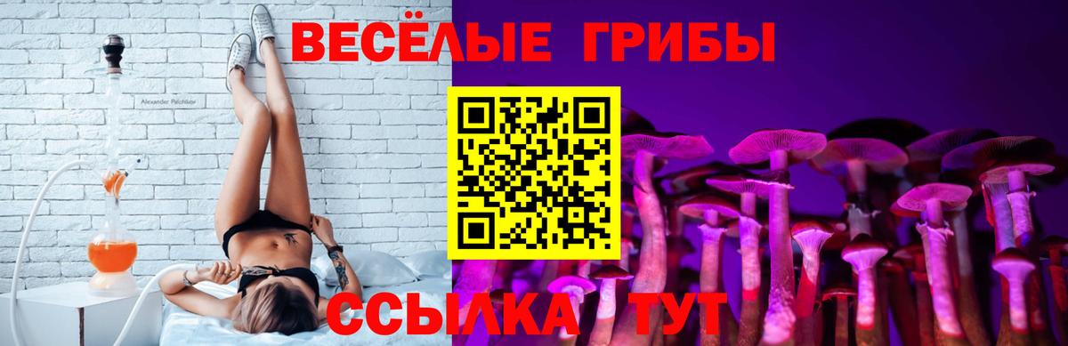 Галлюциногенные грибы прущие грибы  Вход с VPN  Мариинск  Псилоцибиновые грибы ЛСД 