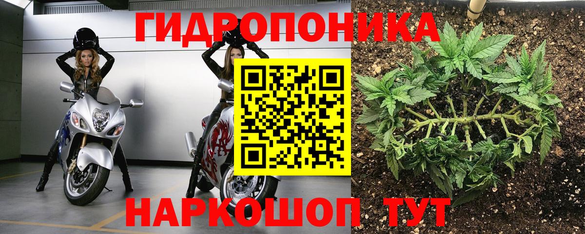 Шишки марихуана VHQ  Каннабис конопля  Марихуана планчик  Шишки марихуана ГИДРОПОН  Вход с VPN  Мариинск 